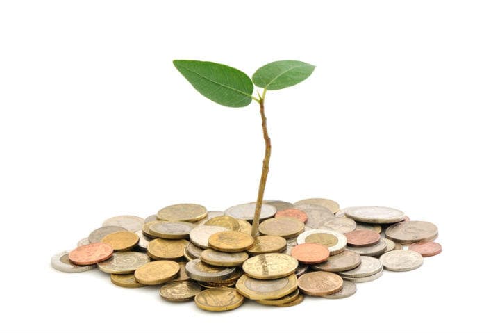 A plant seed grows on a pile of coins